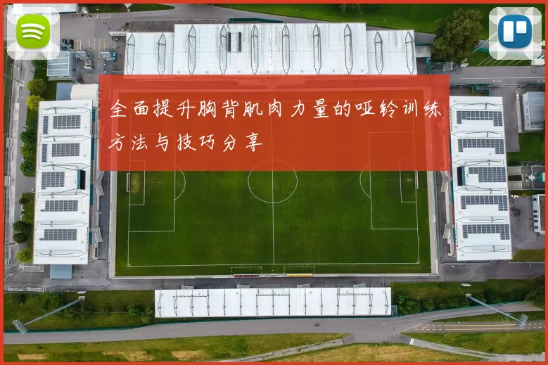 全面提升胸背肌肉力量的哑铃训练方法与技巧分享